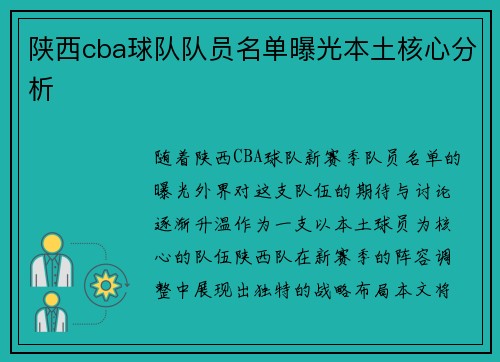 陕西cba球队队员名单曝光本土核心分析