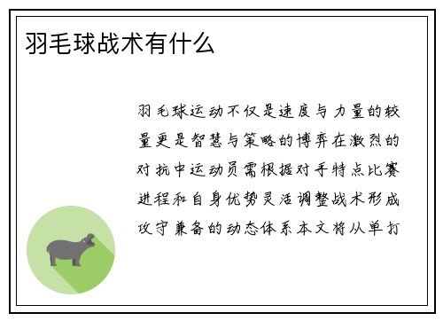 羽毛球战术有什么